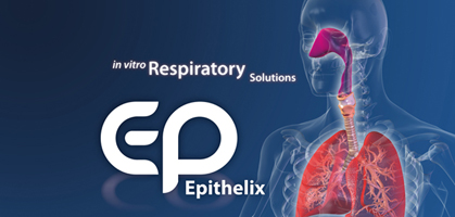 Banner Epithelix